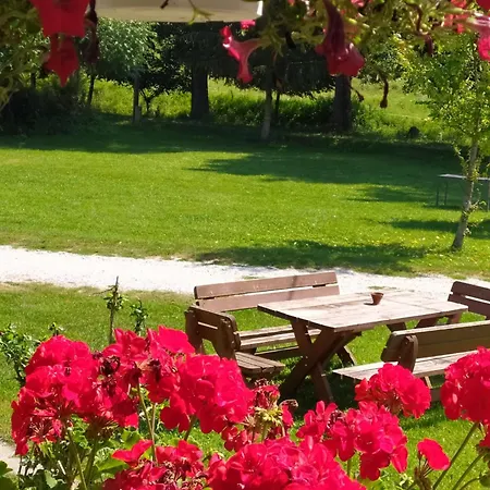 Panzio-kemping Bed and Breakfast